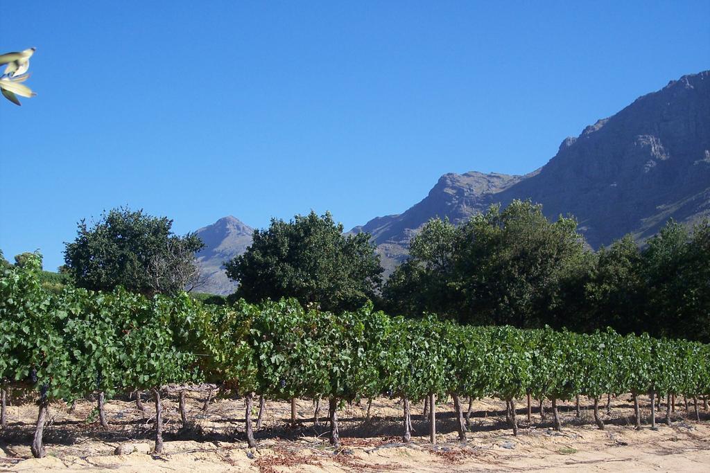 Hotel Sonklip à Stellenbosch Extérieur photo