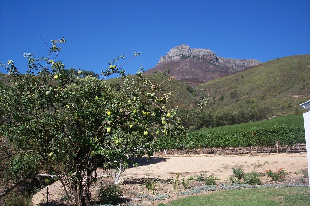Hotel Sonklip à Stellenbosch Extérieur photo