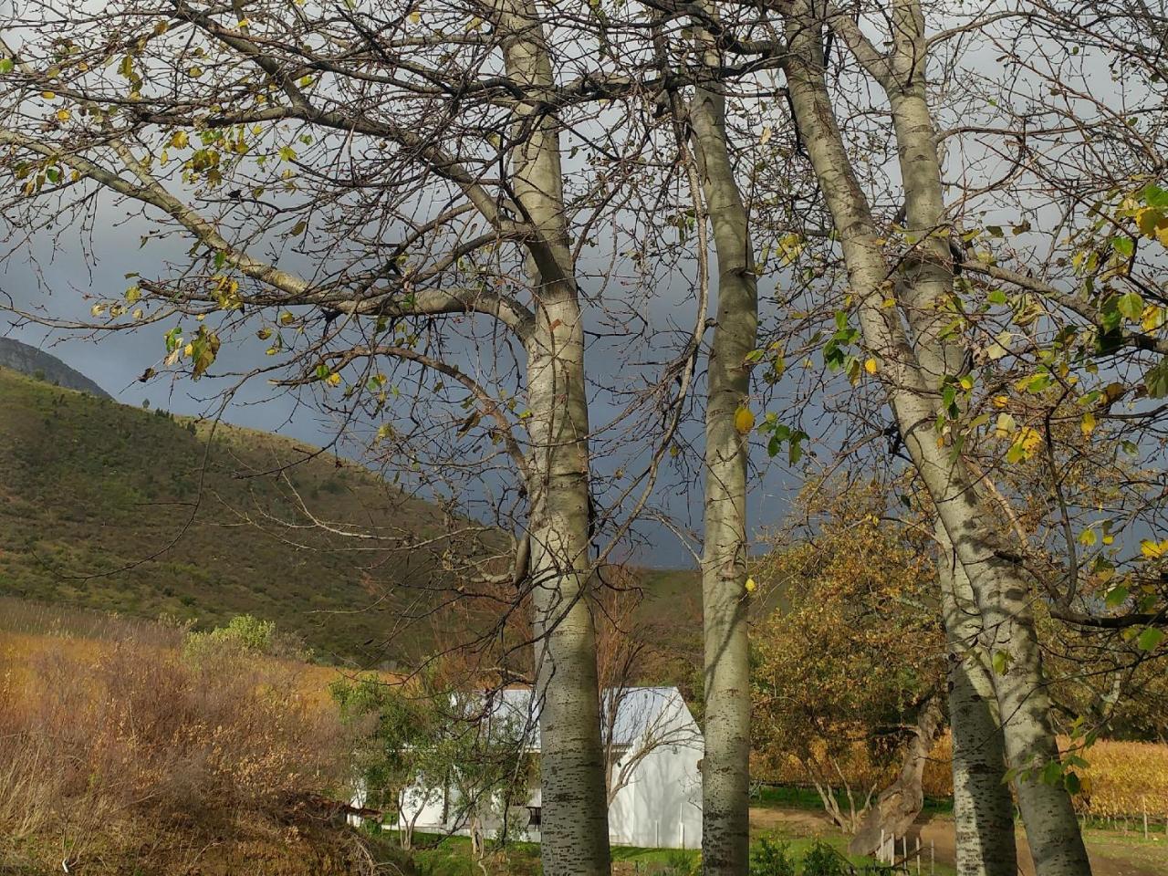 Hotel Sonklip à Stellenbosch Extérieur photo